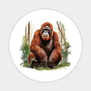 Orangutan Monkey Magnet